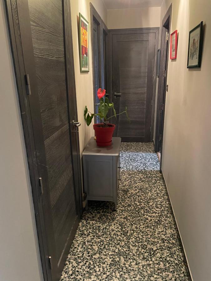 Le Chouki Apartment Annecy Bagian luar foto